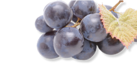 Resveratrol