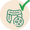 Support of the intestinal wall