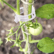 Plantensteun Clips