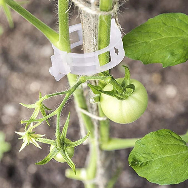 Plantensteun Clips