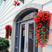 Flora Cascade - Weelderige Hangende Bloemen (1+1 GRATIS) Mix & Match!