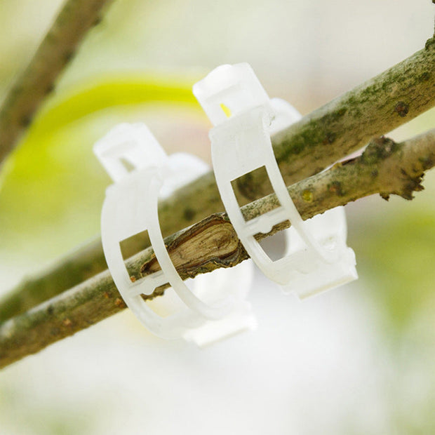 Plantensteun Clips