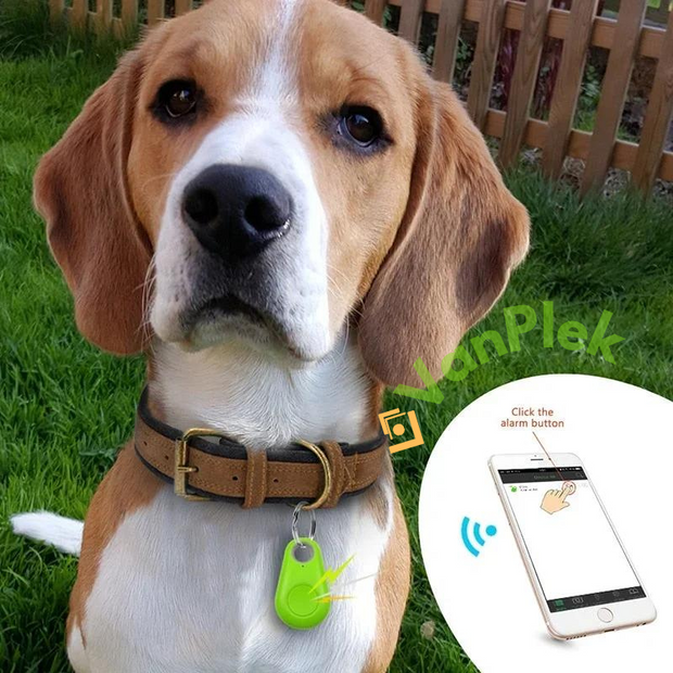 KwispelKompas™ HuisdierNavolger - Bluetooth en GPS Huisdier Draadloze Tracker