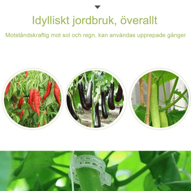 Plantensteun Clips
