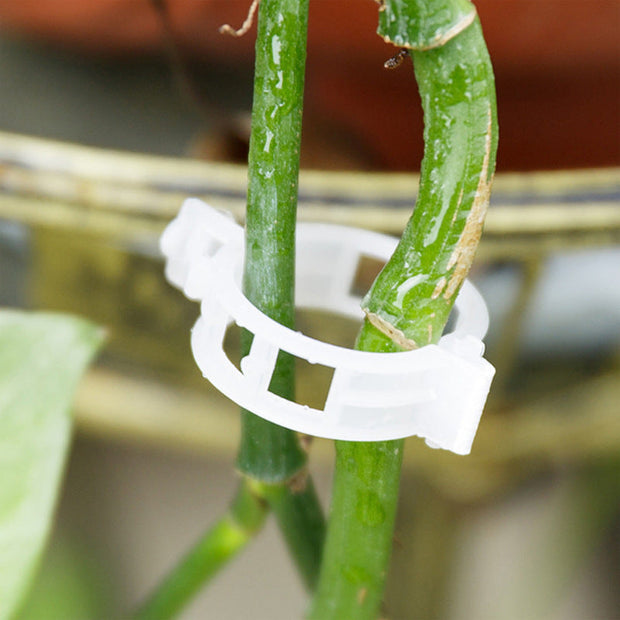 Plantensteun Clips