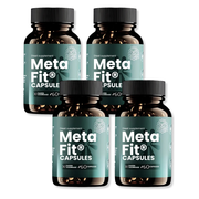 MetaFit