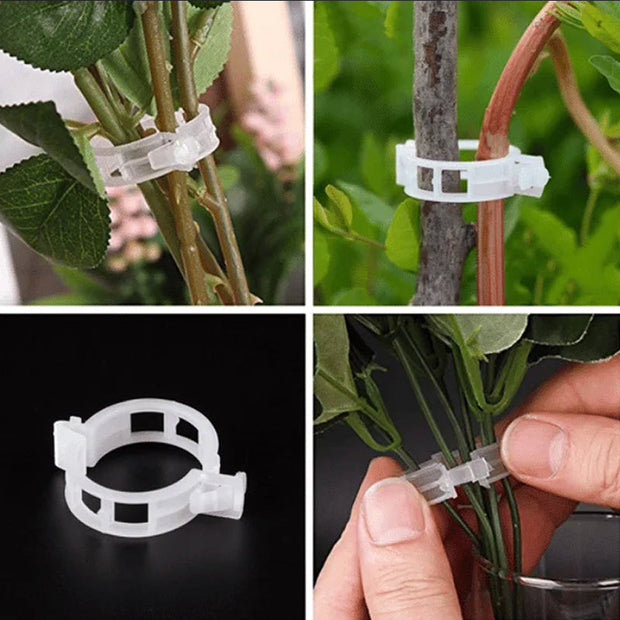 Plantensteun Clips