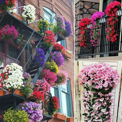 Flora Cascade - Weelderige Hangende Bloemen (1+1 GRATIS) Mix & Match!