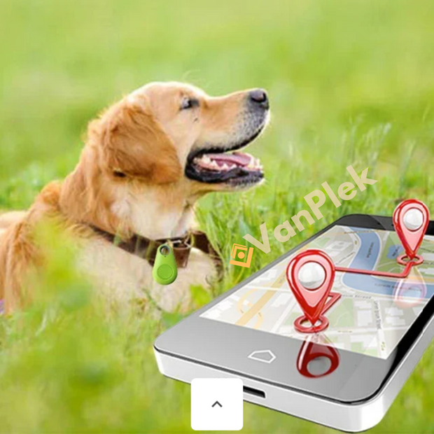 KwispelKompas™ HuisdierNavolger - Bluetooth en GPS Huisdier Draadloze Tracker