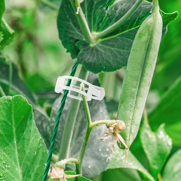 Plantensteun Clips