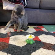 AviPaw - Interactieve Vogelvanger voor Katten