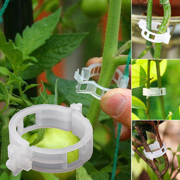 Plantensteun Clips