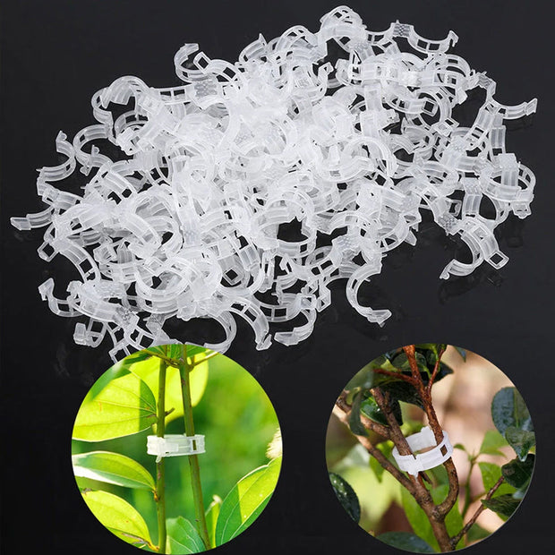 Plantensteun Clips
